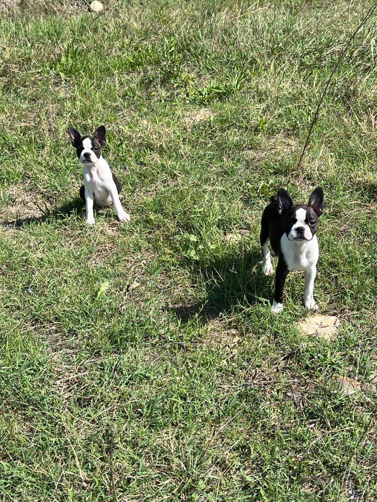 Nouvelles recrues 2025